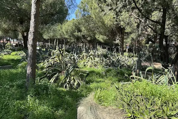 Alanya Kalearkası Mezarlığı - Resim 2