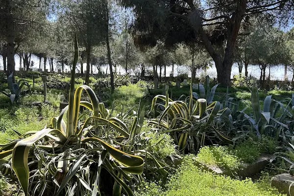 Alanya Kalearkası Mezarlığı - Resim 4