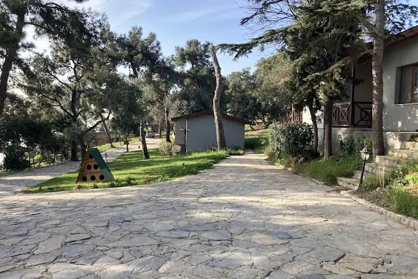 Şeyh Ebül Vefa Camii Ve Türbesi - Resim 17