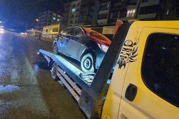 Çamlık Toki - Resim 8