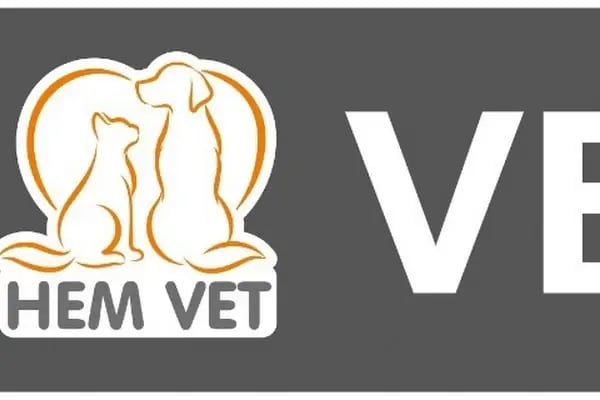 HEMVET VETERİNER MUAYENEHANESI - Resim 9