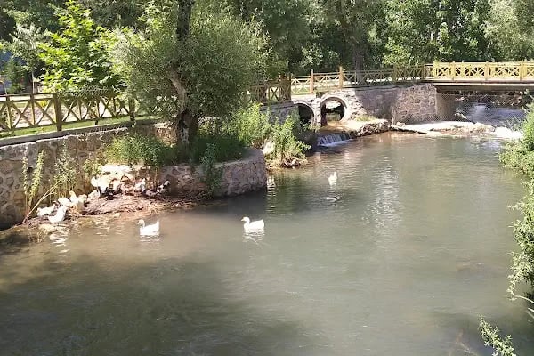 Ali Dayının Yeri - Resim 20
