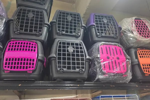 Burkan Pet Shop - Resim 11