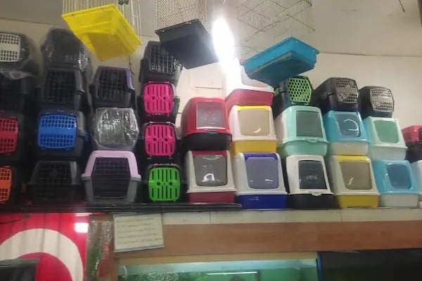 Burkan Pet Shop - Resim 8