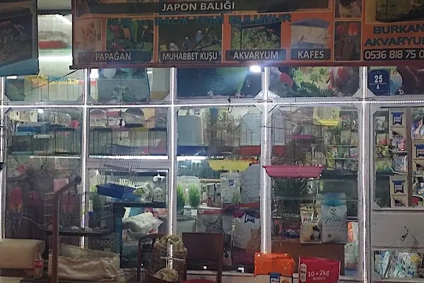 Burkan Pet Shop - Resim 16