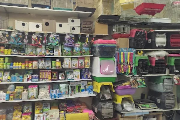 Burkan Pet Shop - Resim 9