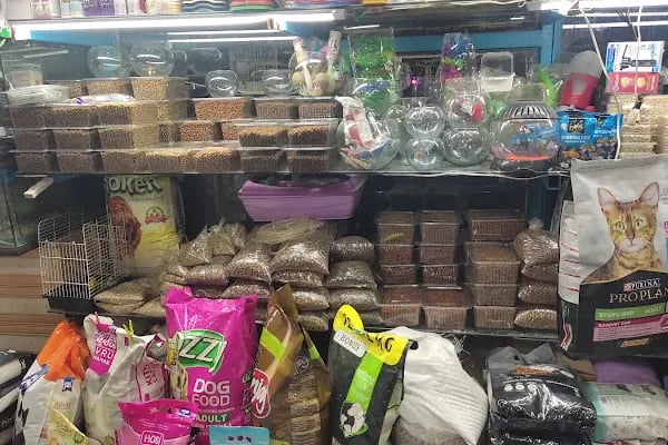Burkan Pet Shop - Resim 5