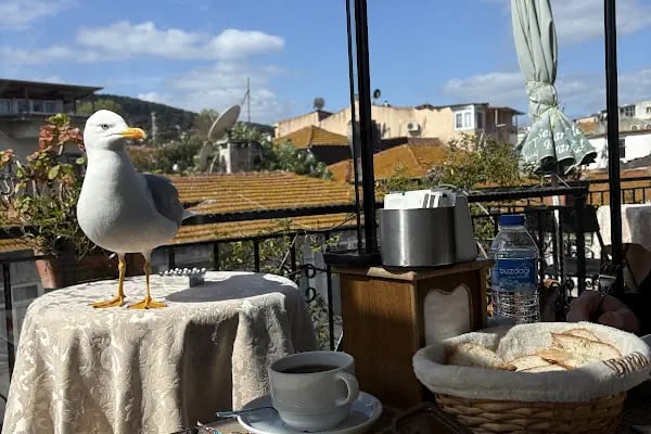 Mimoza Butik Otel Büyükada - Resim 11