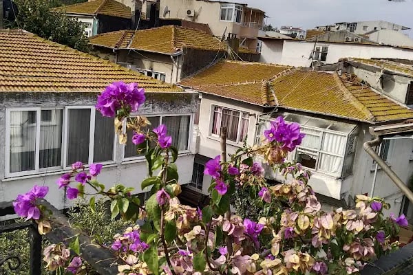 Mimoza Butik Otel Büyükada - Resim 19