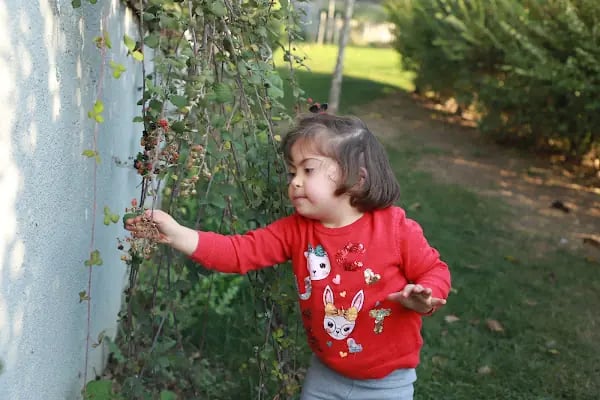 Küçükçekmece Belediyesi Macera Parkı - Resim 13