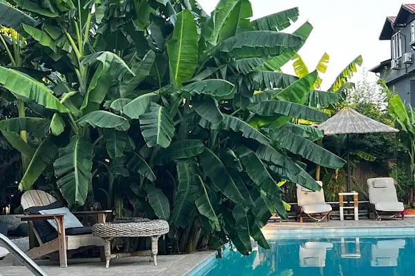 Han Boutique Hotel - Resim 2