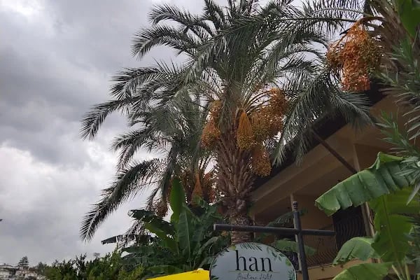 Han Boutique Hotel - Resim 13