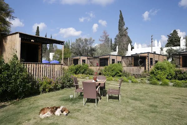 Bitez Tiny House / Boutique hotel - Resim 14