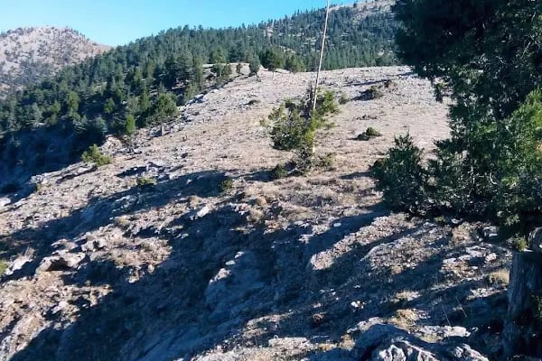 Kocayayla doga koruma ve milli park - Resim 7