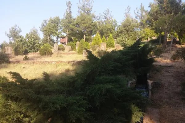 Yesemek Köyü Muhtarlığı - Resim 3