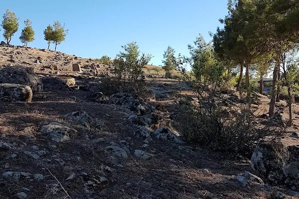 Yesemek Köyü Muhtarlığı - Resim 4