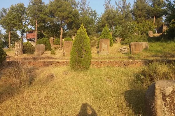 Yesemek Köyü Muhtarlığı - Resim 6