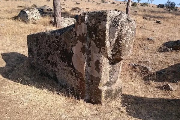 Yesemek Köyü Muhtarlığı - Resim 12