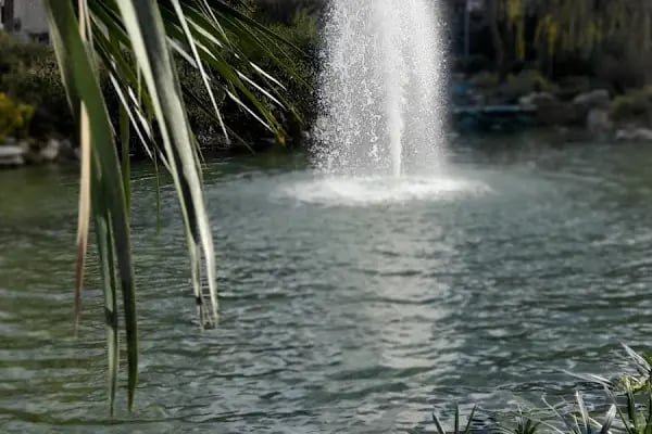 Koru Park - Resim 8