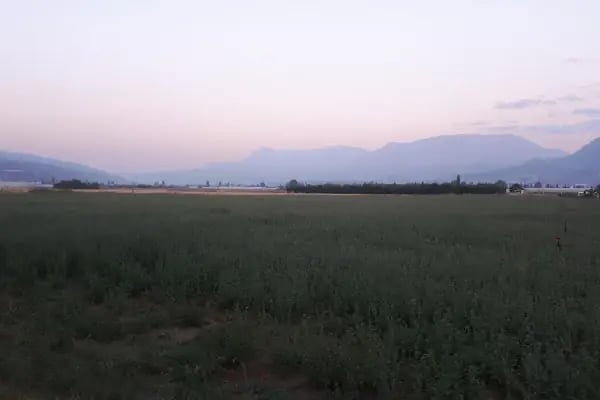 Akçay Pide Salonu - Resim 7