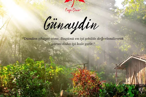 cafe çınar - Resim 8