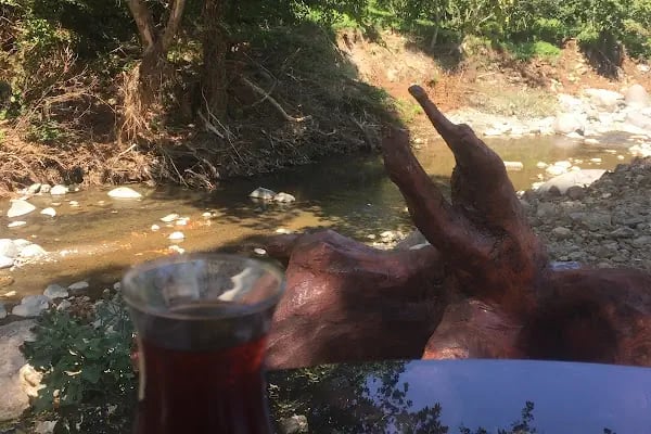 Şelale Alabalık Piknik ve Mesire Yeri - Resim 14