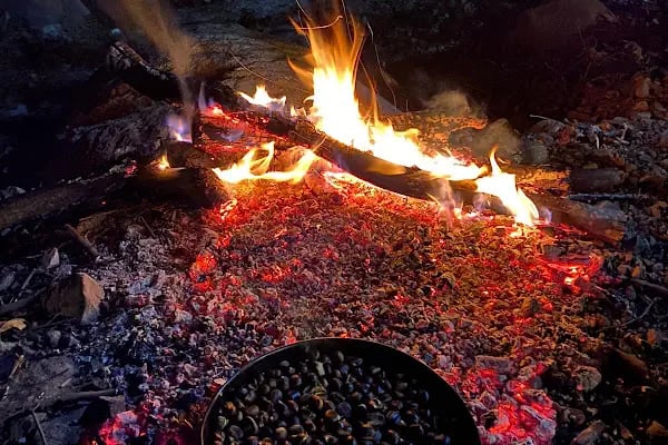 Şelale Alabalık Piknik ve Mesire Yeri - Resim 13