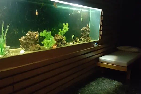 Relax Masaj Spa - Resim 19