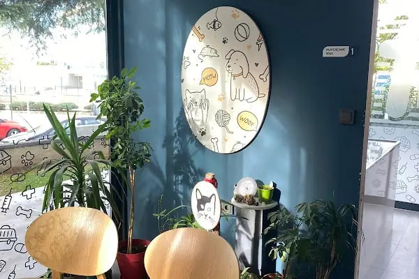 Tio Veteriner Kliniği - Resim 5