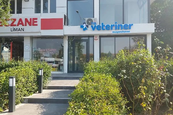Tio Veteriner Kliniği - Resim 3