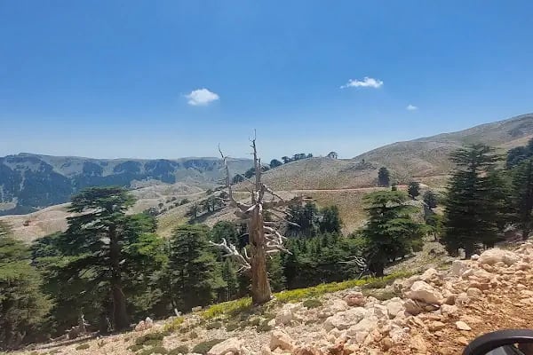 Eroğlu Nuri Türbesi - Resim 17