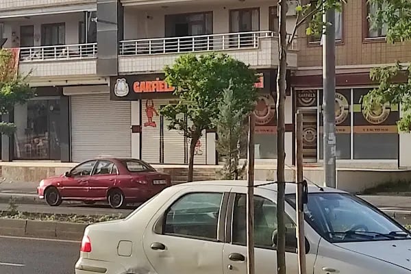 Garfield Veteriner Kliniği | Diyarbakır - Resim 1