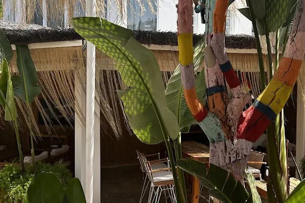 Bamboo house - Resim 15
