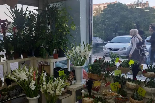 Batıkent Çiçekçi Alp Çiçekçilik - Resim 4