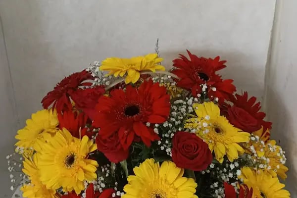 Batıkent Çiçekçi Alp Çiçekçilik - Resim 13