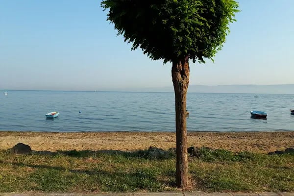 Ereğli Halk Plajı - Resim 16