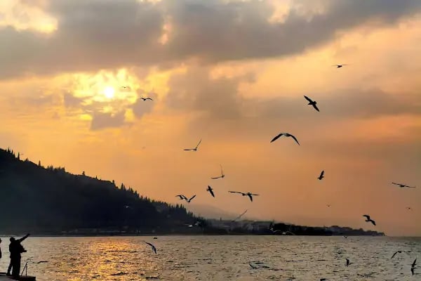 Ereğli Halk Plajı - Resim 5