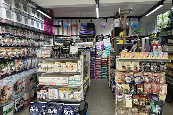 Petasya Kayışdağı Petshop - Resim 2