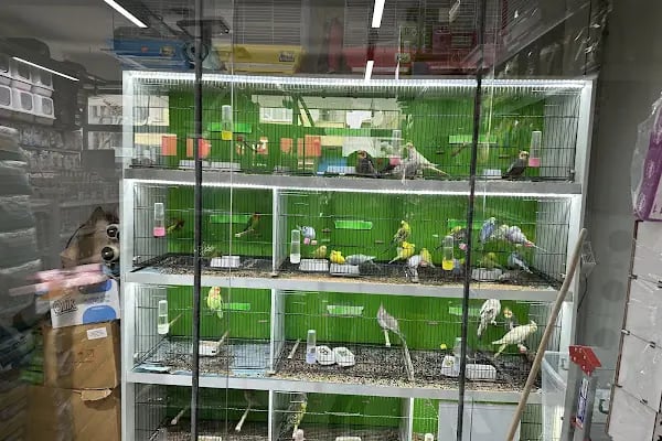 Petasya Kayışdağı Petshop - Resim 3