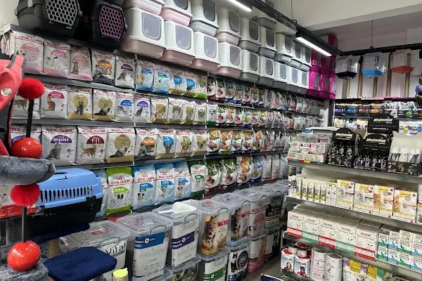 Petasya Kayışdağı Petshop - Resim 4