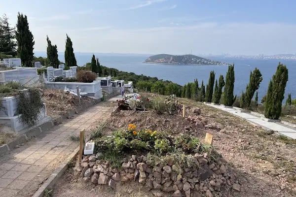3 things burgazada - Resim 8
