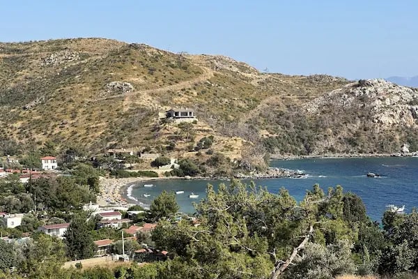 Mazı Neşe Pansiyon - Resim 19