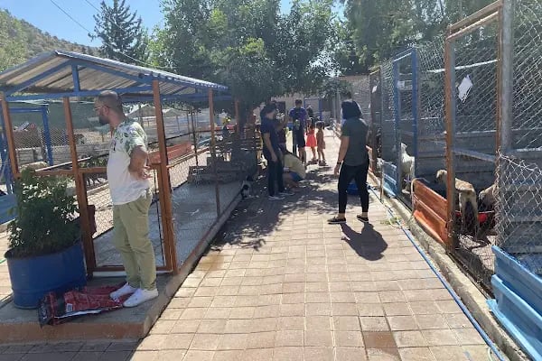 Kozan Belediyesi Hayvan Barınağı - Resim 7