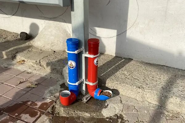Kozan Belediyesi Hayvan Barınağı - Resim 16