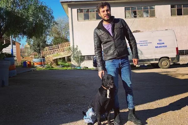 Kozan Belediyesi Hayvan Barınağı - Resim 14