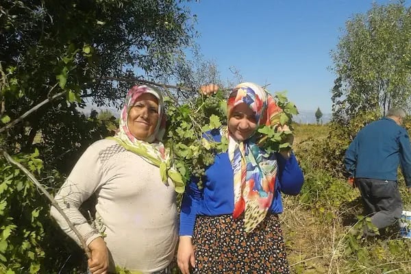 Kadir Çetin Parkı - Resim 15