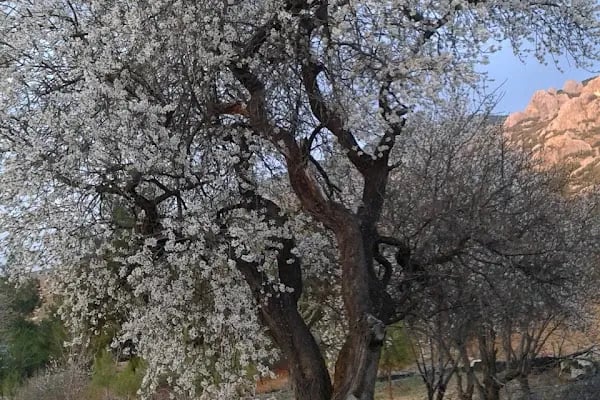 Kadir Çetin Parkı - Resim 16