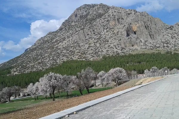 Kadir Çetin Parkı - Resim 12