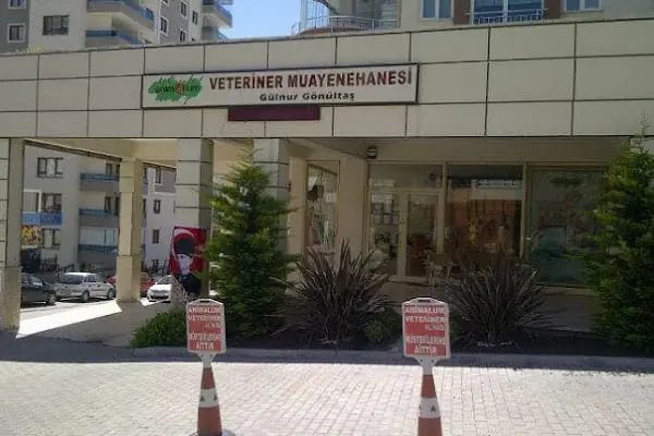 Animalium Veteriner Muayenehanesi / Bursa Veteriner Kliniği / Veteriner Cerrahi - Resim 18