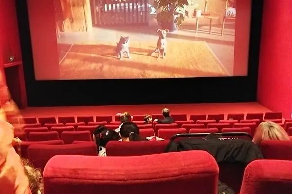 World Cinezone Forum Aydın - Resim 10